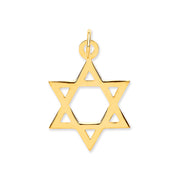 Y/G Star of David Pendant