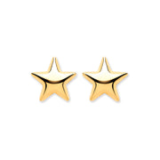 9ct Y/G Star Studs
