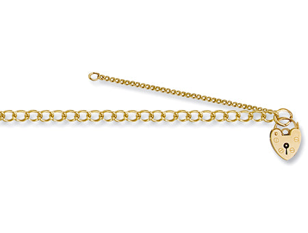 Yellow Gold Open Curb & Padlock Charm Ladies Bracelet TGC-BR0014