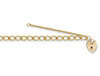 Yellow Gold Open Curb & Padlock Charm Bracelet TGC-BR0015