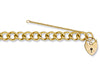 Yellow Gold Open Curb & Padlock Charm Bracelet TGC-BR0022