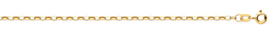 Yellow Gold Hollow Belcher Chain TGC-CN0461