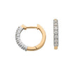 9ct Yellow Gold 0.25ct Diamond Earrings TGC-DER0051