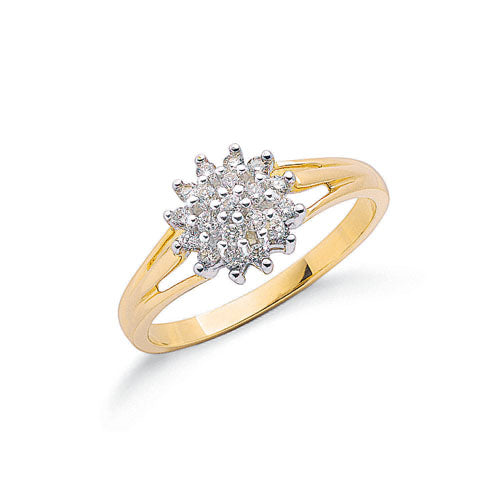 9ct Yellow Gold 0.25ctw Diamond Cluster Ring TGC-DR0275